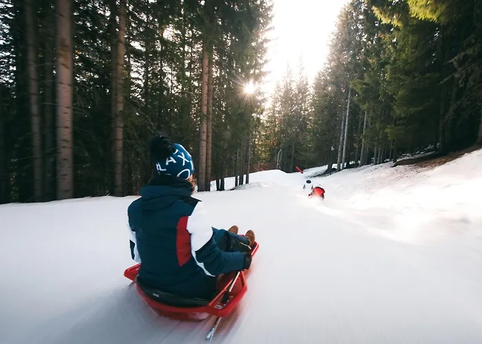 Confortable 2 Pieces, Skis Aux Pieds, 4 Pers, Balcon Ouest - Fr-1-182a-38 Lejlighed